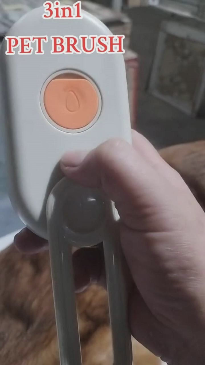 videoselz-tag